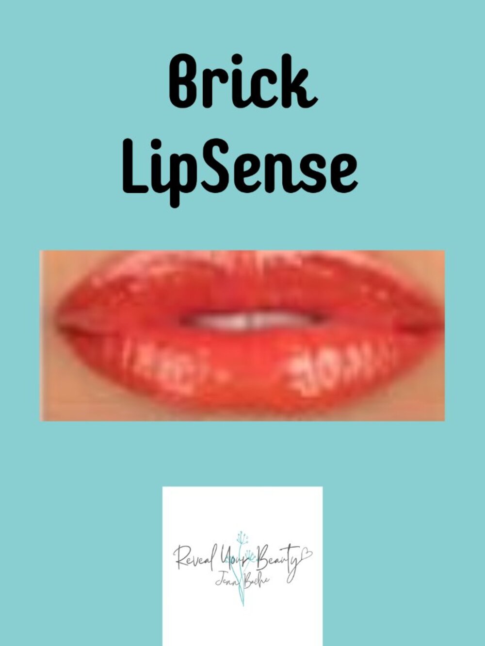Brick LipSense- Discontinued